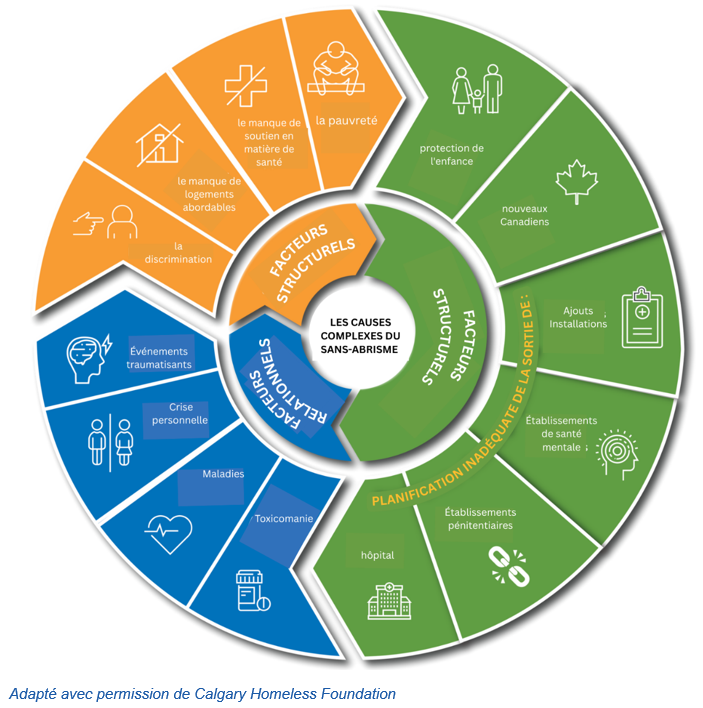 Une infographie circulaire décrit les causes complexes du sans-abrisme, divisées en facteurs structurels, relationnels et systémiques, avec des exemples spécifiques pour chaque catégorie.